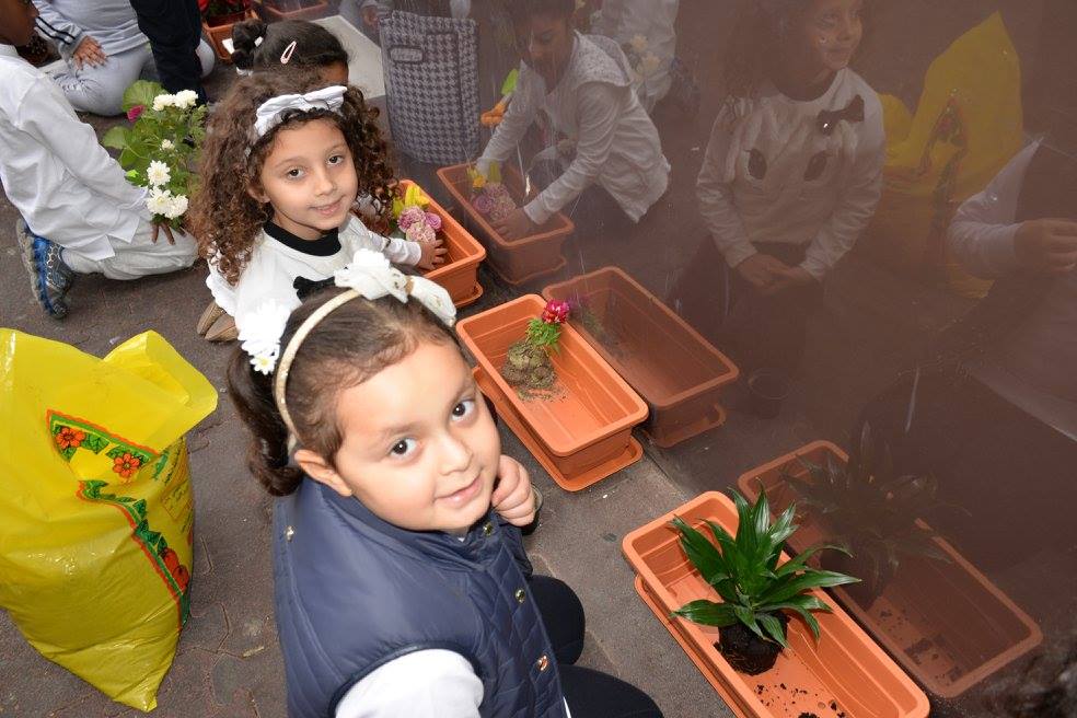 Environment Day
