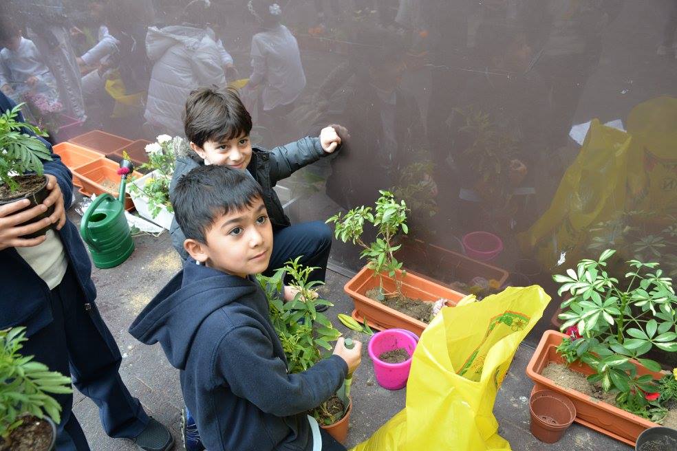 Environment Day