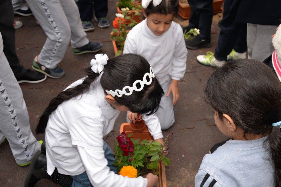 Environment Day