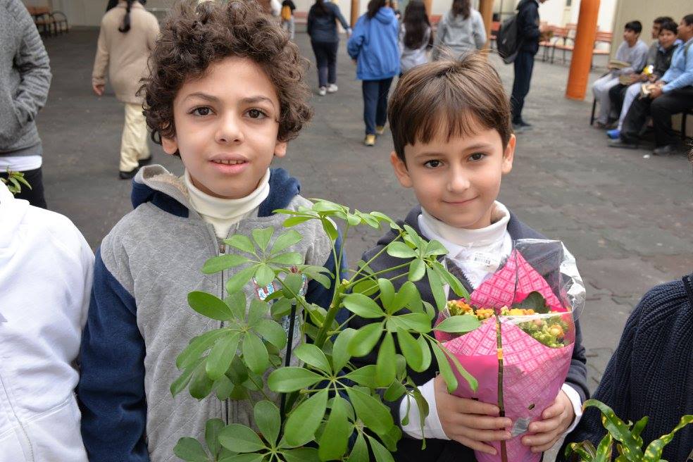 Environment Day