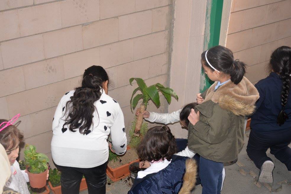 Environment Day