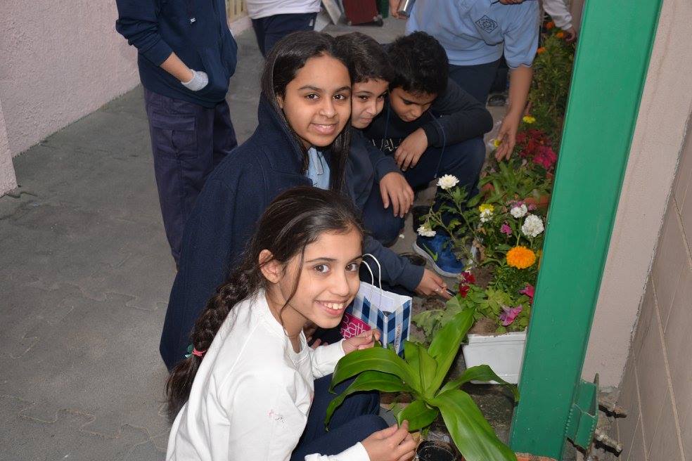 Environment Day