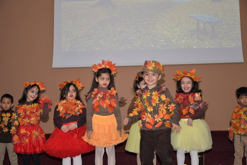 Environment day 29-12-2016