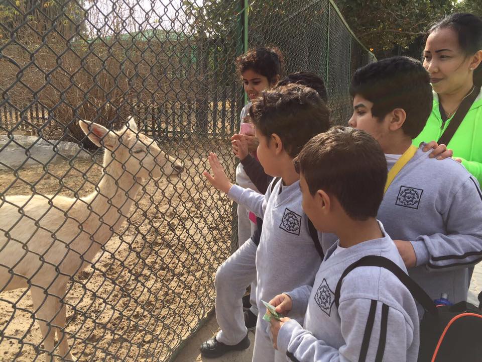 Trip to the zoo