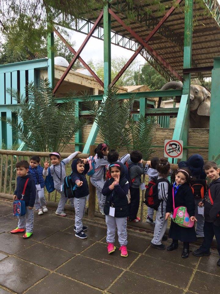 Trip to the zoo