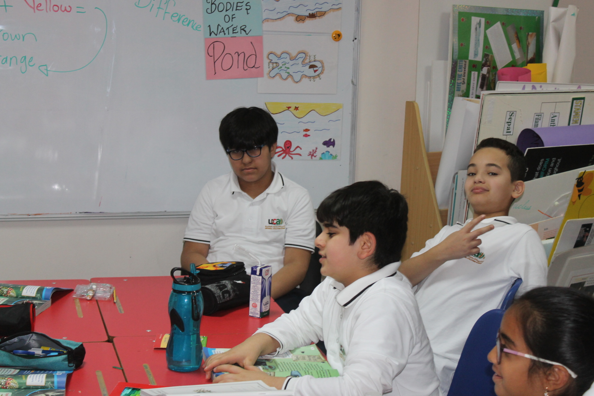 Elementary Section