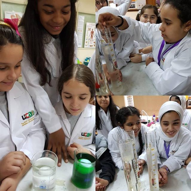 المرحلةُ المتوسّطة